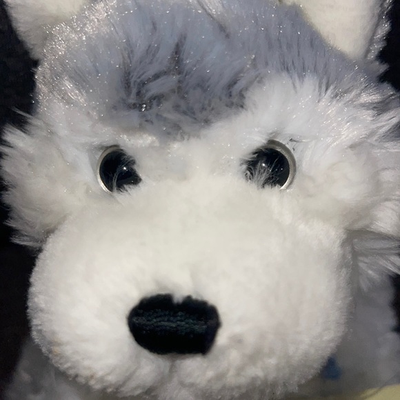 WEBKINZ Ganz HUSKY RETIRED HM120 w/hang & but Tag No Code plush stuffed animal - Picture 5 of 13